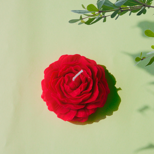 Peony Blossom Glow